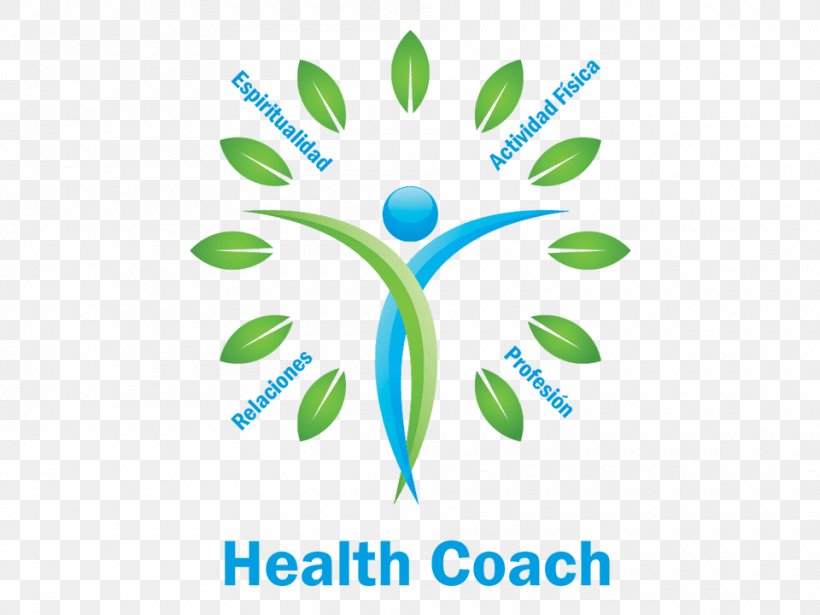 Health Coaching Health Care Health Professional, PNG, 960x720px, Health Coaching, Area, Brand, Coaching, Diagram Download Free