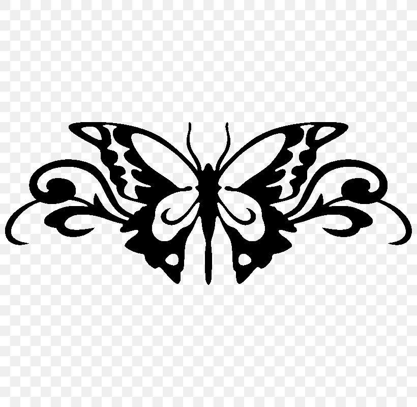 Car Sticker Decal Paper Vehicle, PNG, 800x800px, Car, Adhesive, Arthropod, Black, Black And White Download Free