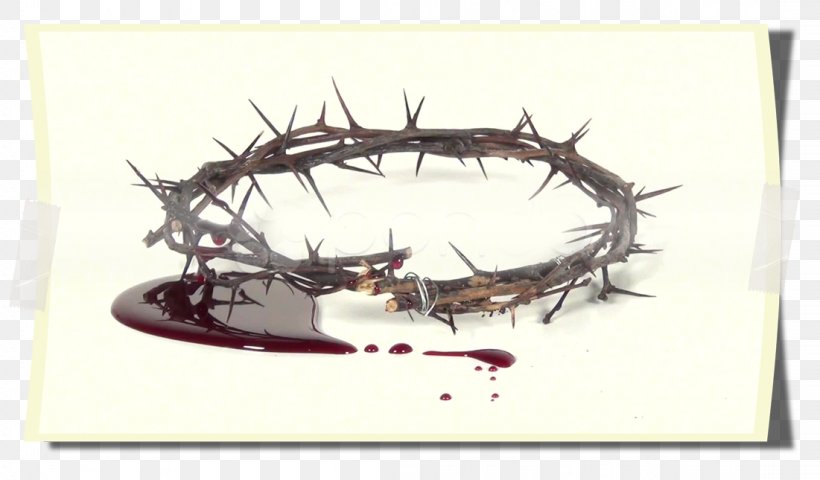 Crown Of Thorns Thorns, Spines, And Prickles YouTube Blood, PNG, 1101x645px, Crown Of Thorns, Antler, Blood, Blood Of Christ, Crown Download Free