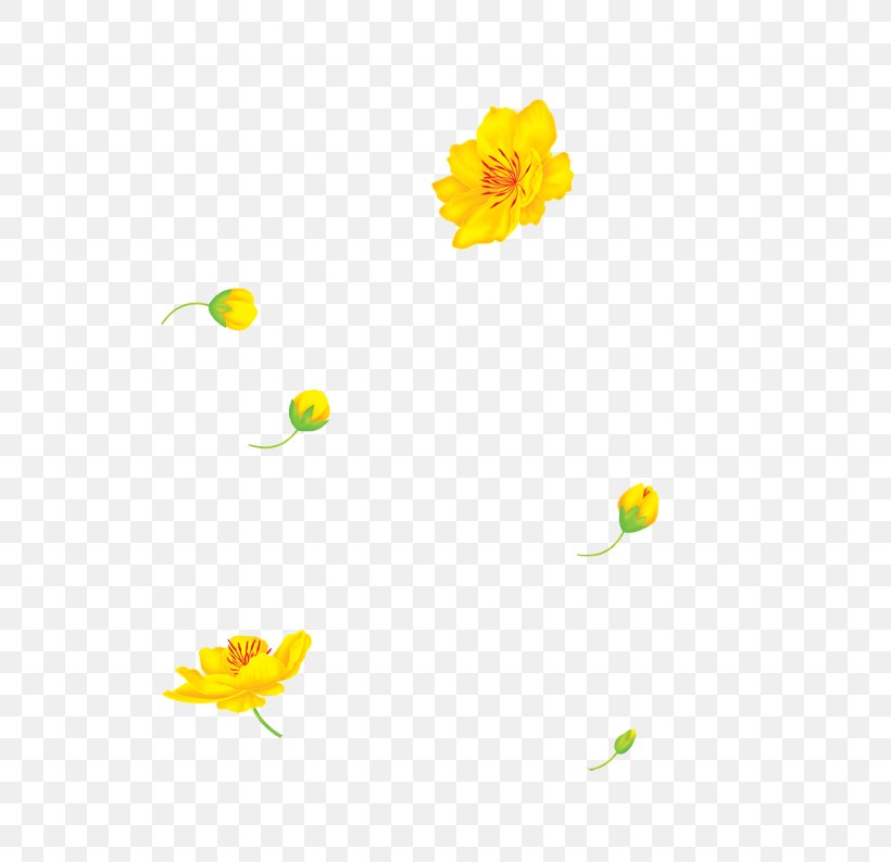 Desktop Wallpaper Computer Flowering Plant Font, PNG, 692x794px, Computer, Flora, Flower, Flowering Plant, Orange Download Free