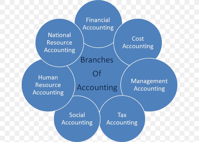 Managerial Cost Accounting Accountant Partnership Accounting, PNG, 642x586px, Accounting, Account, Accountant, Accounting Information System, Brand Download Free