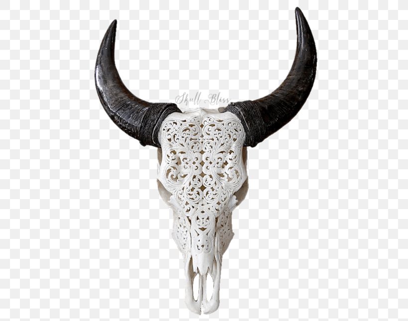 Texas Longhorn English Longhorn Skull Goat, PNG, 645x645px, Texas Longhorn, Bone, Bull, Cattle, Cattle Like Mammal Download Free