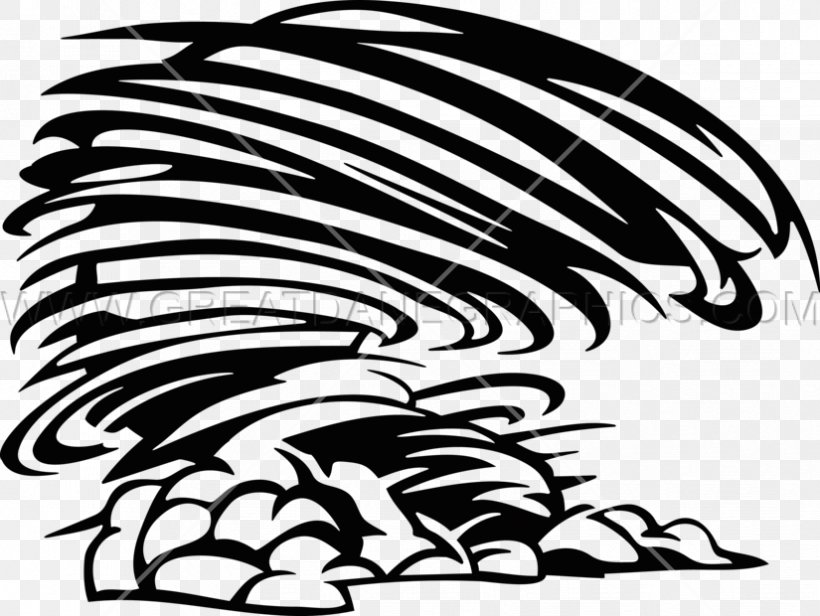 Beak Wildlife Carnivora Clip Art, PNG, 825x620px, Beak, Art, Bird, Black, Black And White Download Free