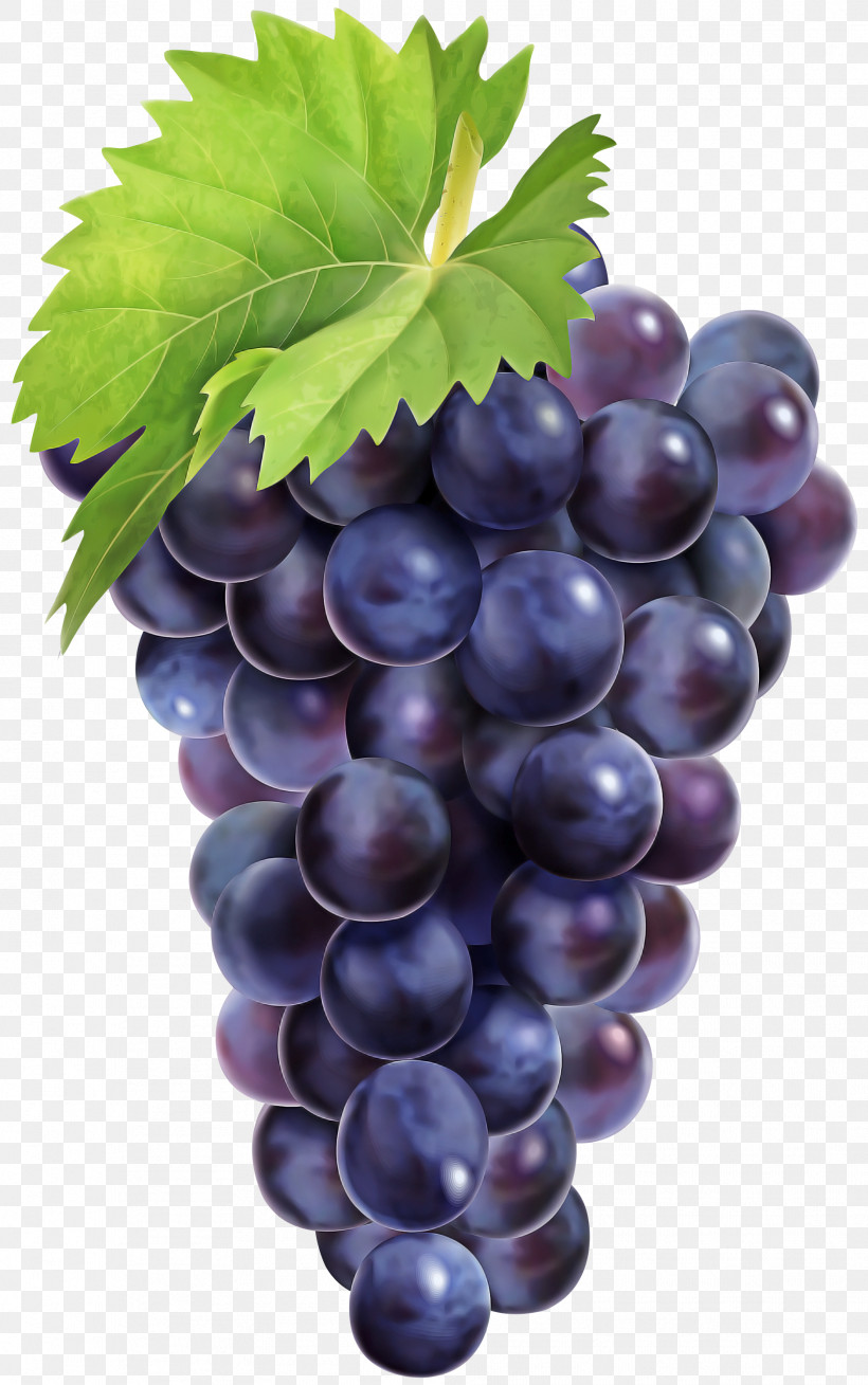 Grape Seedless Fruit Fruit Grape Leaves Grapevine Family, PNG, 1879x3000px, Grape, Berry, Bilberry, Currant, Flower Download Free