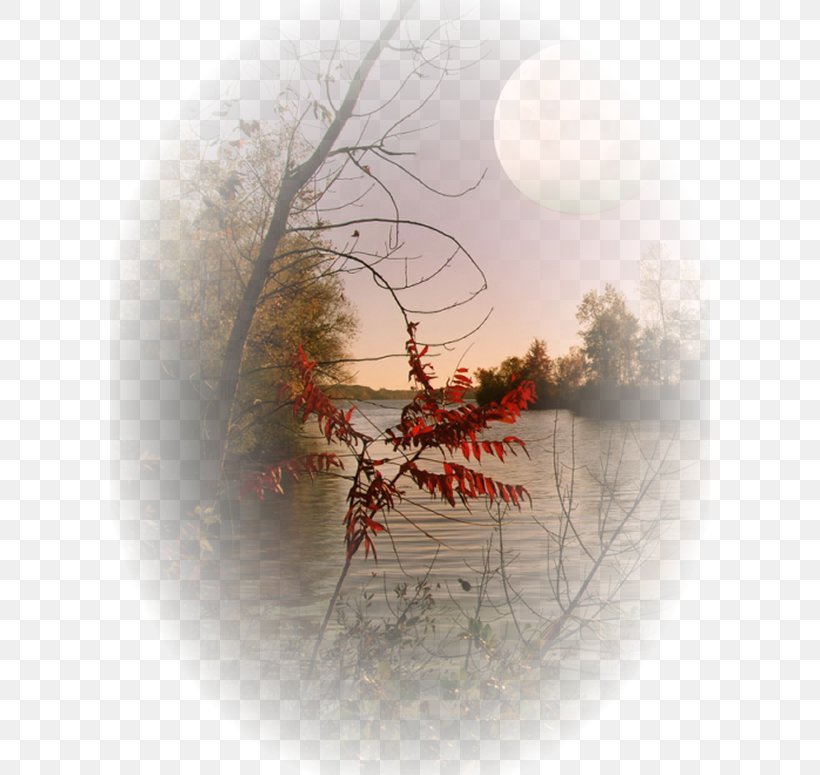 Landscape Hit Single Betty Boop Clip Art, PNG, 600x775px, Landscape, Autumn, Betty Boop, Blog, Branch Download Free