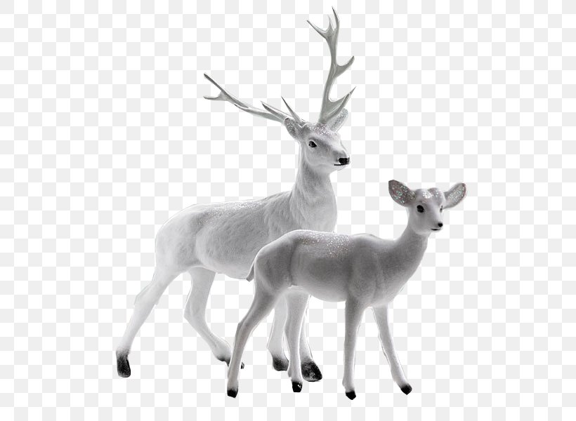 Seneca White Deer Computer File, PNG, 600x600px, Deer, Antler, Black And White, Elk, Fauna Download Free