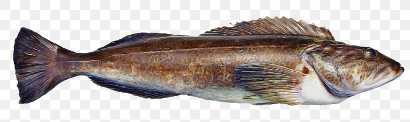 Fish Fish Fish Products Oily Fish Seafood, PNG, 1024x306px, Fish, Capelin, Fish Products, Oily Fish, Seafood Download Free