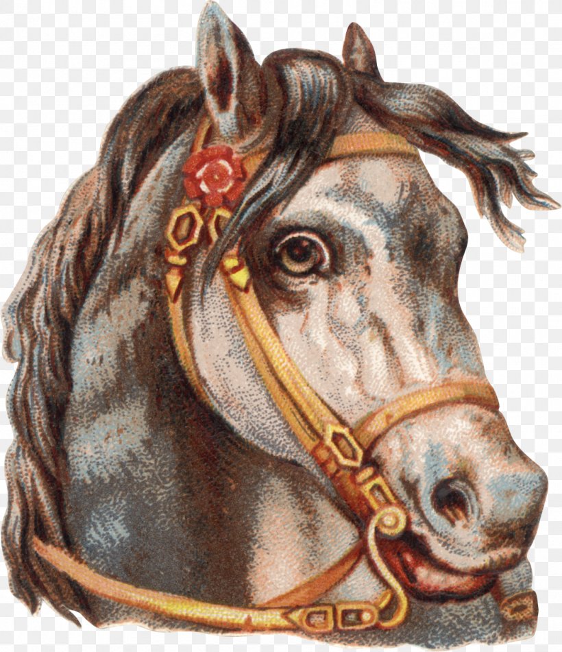 Horse Tack Horse Harnesses Clip Art, PNG, 1151x1336px, Horse, Bit, Bridle, Halter, Head Download Free