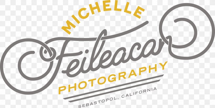 Michelle Feileacan Photography Wedding Photography Logo, PNG, 2886x1452px, Wedding, Area, Brand, Logo, Photography Download Free