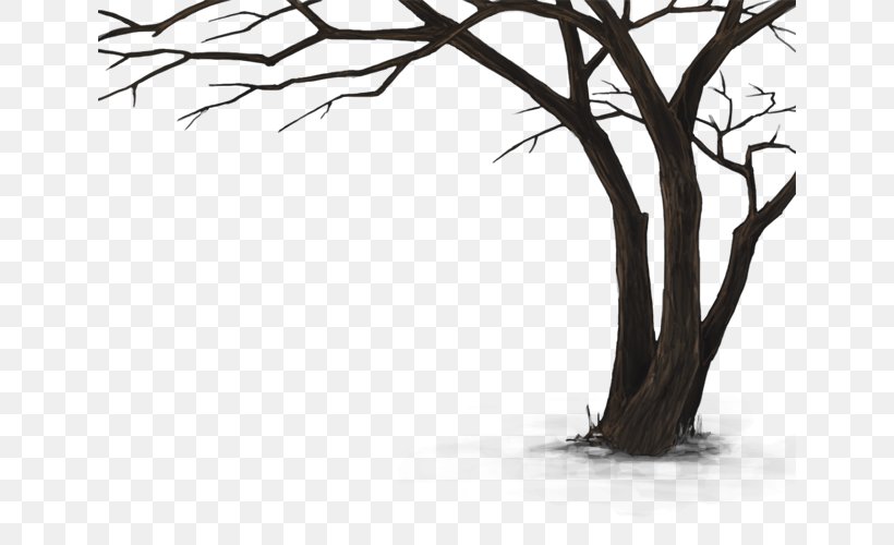 Twig Lion Tree Fang, PNG, 640x500px, Twig, Artwork, Black And White, Branch, Death Download Free