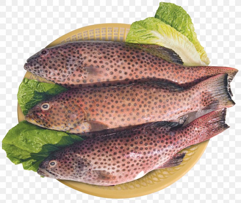 Salmon Fish Products Tilapia Trout, PNG, 1779x1500px, Salmon, Animal Source Foods, Bony Fish, Cod, Coral Trout Download Free