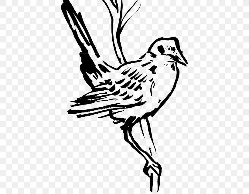 Bird Wing Feather Beak Clip Art, PNG, 417x640px, Bird, Art, Artwork, Beak, Black And White Download Free