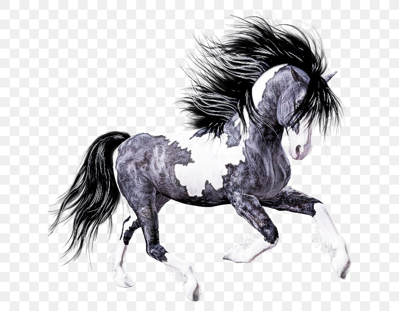 Horse Mane Animal Figure Stallion Mare, PNG, 640x640px, Horse, Animal Figure, Drawing, Mane, Mare Download Free