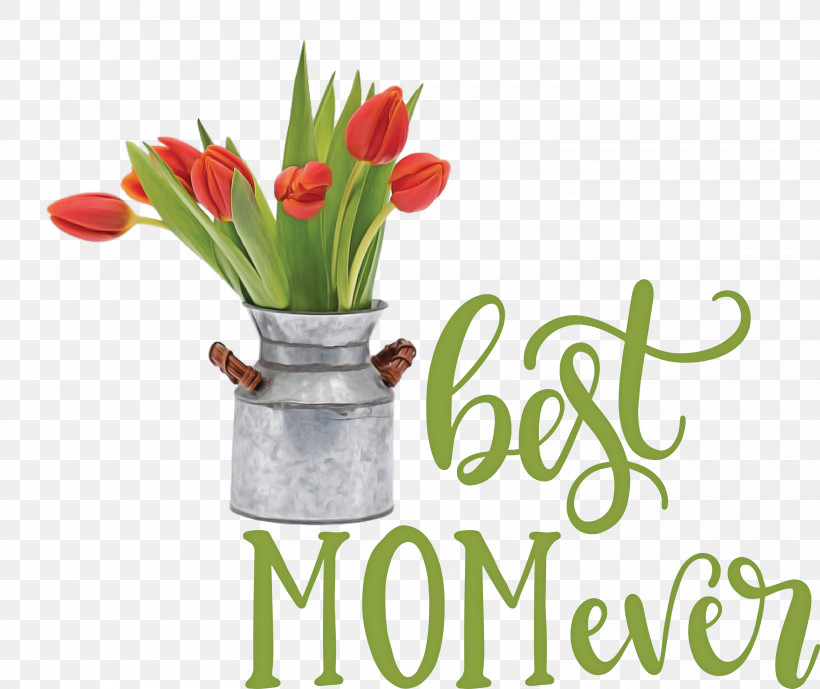Mothers Day Best Mom Ever Mothers Day Quote, PNG, 3000x2522px, Mothers Day, Artificial Flower, Best Mom Ever, Cut Flowers, Floral Design Download Free