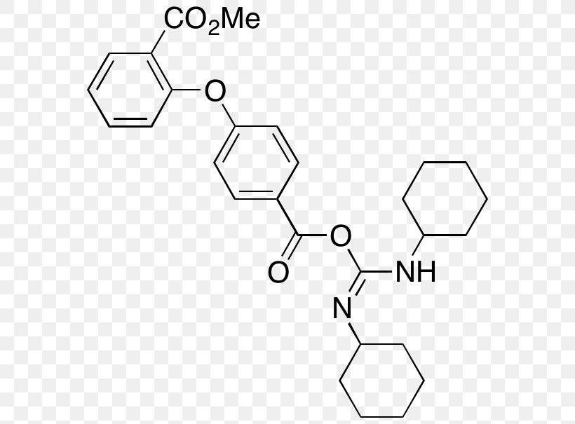 Nicotinamide Adenine Dinucleotide Brand /m/02csf, PNG, 590x605px, Nicotinamide Adenine Dinucleotide, Adenine, Area, Artikel, Auto Part Download Free