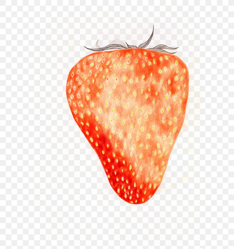 Strawberry Aedmaasikas Drawing Cartoon Amorodo, PNG, 600x871px, Strawberry, Aedmaasikas, Amorodo, Animation, Cartoon Download Free