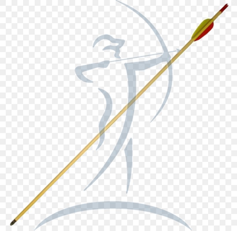 Archery Hunting Crossbow Arrow Bogentandler GmbH, PNG, 800x799px, Archery, Bogentandler Gmbh, Cable, Crossbow, Finger Download Free