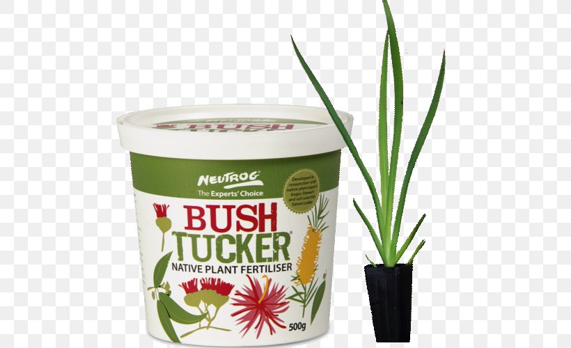 Bush Tucker Australian Cuisine Soil Fertilisers, PNG, 500x500px, Bush Tucker, Australia, Australian Cuisine, Bush, Clay Download Free
