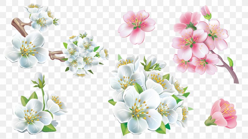 Cut Flowers, PNG, 1600x900px, Flower, Blossom, Branch, Cherry Blossom, Cut Flowers Download Free