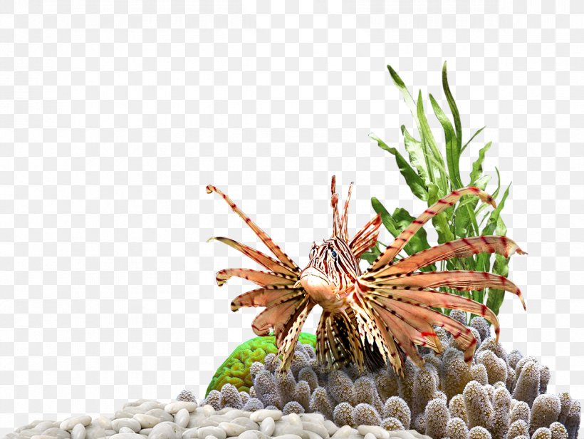 Invertebrate Aquarium Plants, PNG, 1183x890px, Invertebrate, Aquarium, Aquarium Decor, Organism, Plant Download Free