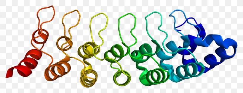 PSMD10 Protease Enzyme Proteolysis Proteasome, PNG, 1129x434px, Protease, Adenosine, Adenosine Triphosphate, Atpase, Body Jewelry Download Free