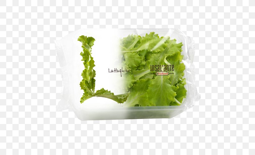 Romaine Lettuce Salad Leaf Vegetable, PNG, 500x500px, Romaine Lettuce, Art, Bowl, Cabbage, Citrus Fruit Download Free