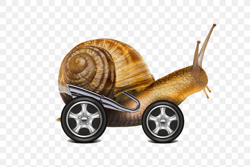 Snail Internet, PNG, 860x573px, Snail, Internet, Internet Service Provider, Invertebrate, Mobile Phone Download Free