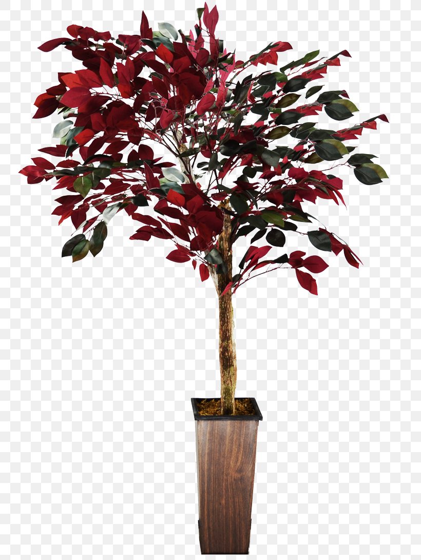 Twig Flowerpot Shrub Plant Stem Houseplant, PNG, 800x1090px, Twig, Flower, Flowering Plant, Flowerpot, Houseplant Download Free