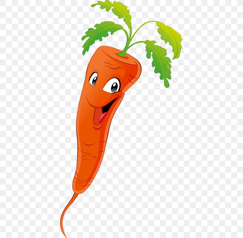 Vegetable Cartoon Marrow Clip Art, PNG, 413x800px, Vegetable, Art, Carrot,  Cartoon, Fictional Character Download Free