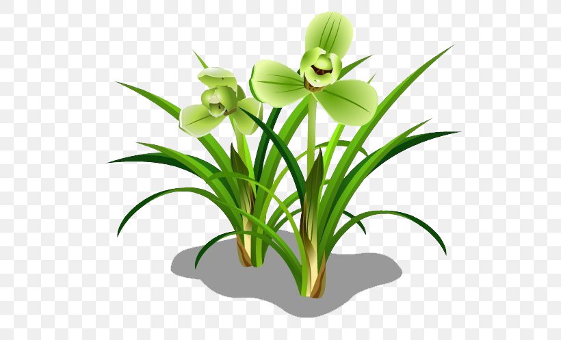 Herbaceous Plant Green, PNG, 710x497px, Herbaceous Plant, Cartoon, Croquis, Flora, Flower Download Free
