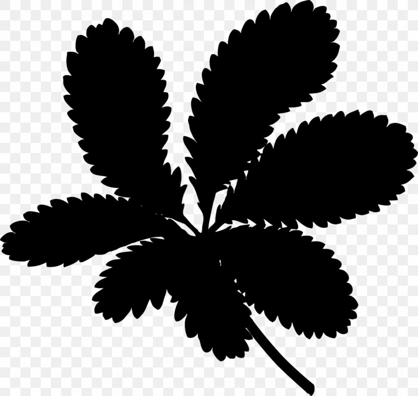Leaf Plant Stem Silhouette Flowering Plant Cannabis, PNG, 1200x1136px, Leaf, Art, Blackandwhite, Botany, Branching Download Free