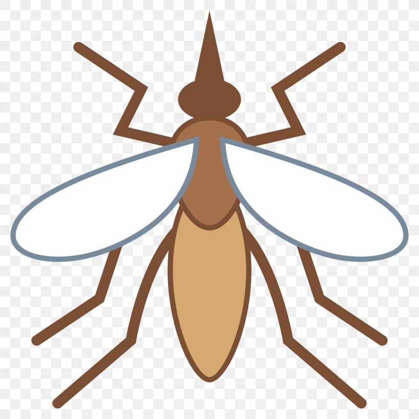 Mosquito Root Pest Clip Art, PNG, 1600x1600px, Mosquito, Artwork, Fibrous Root System, Insect, Invertebrate Download Free