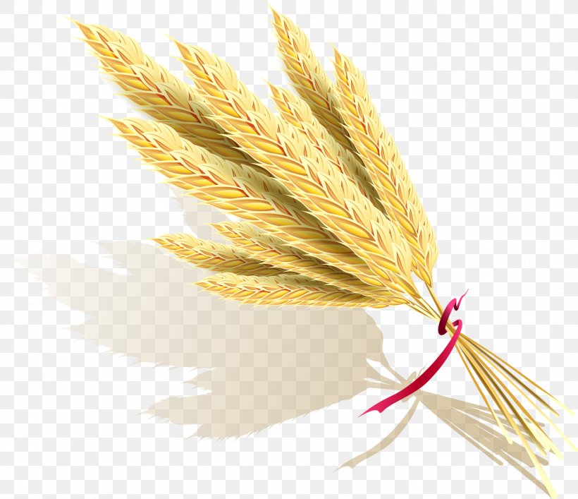 Rice Icon, PNG, 1518x1309px, Rice, Commodity, Depositphotos, Food Grain, Grass Family Download Free