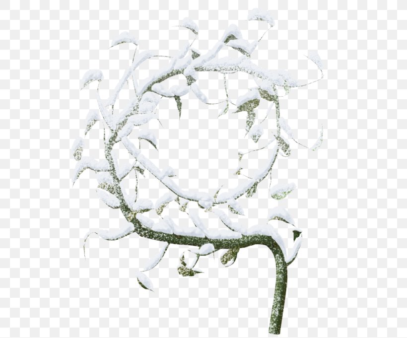 Winter Snow Clip Art, PNG, 600x681px, Winter, Branch, Drawing, Floral Design, Flower Download Free