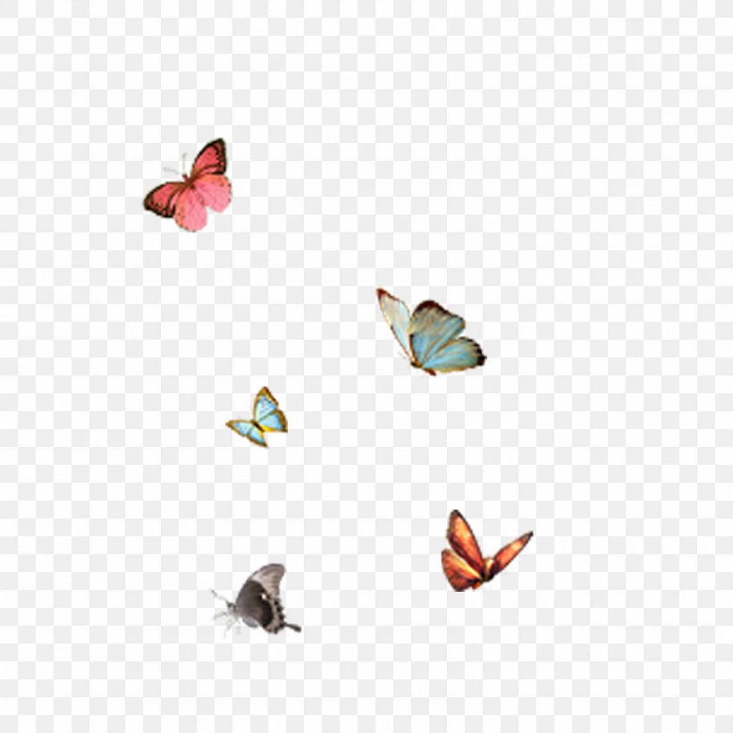 Butterfly Bird Icon, PNG, 1500x1500px, Butterfly, Bird, Butterflies And Moths, Moths And Butterflies, Passerine Download Free