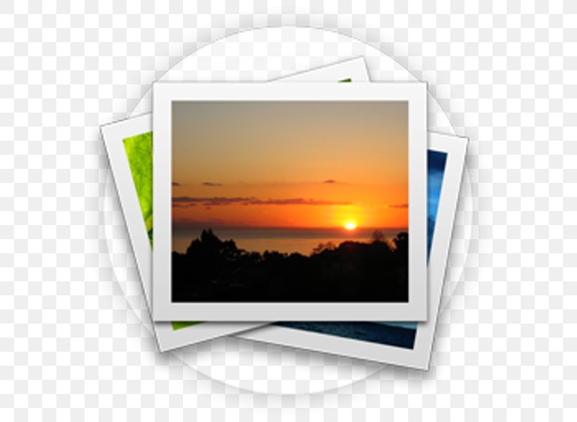 Photo Gallery, PNG, 600x600px, Web Browser, Multimedia, Photographic Paper, Photography Download Free