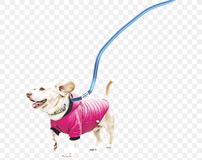 Dog Leash Pink Animal Figure Toy, PNG, 640x648px, Dog, Animal Figure, Companion Dog, Leash, Pink Download Free