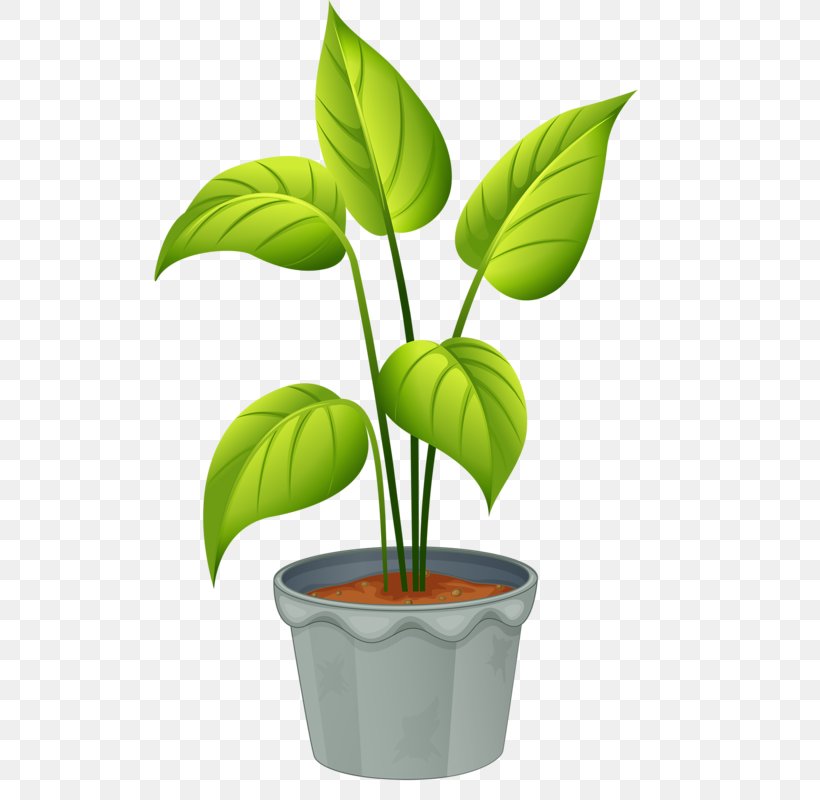 Flowering Plant Clip Art, PNG, 515x800px, Plant, Flower, Flowering Plant, Flowerpot, Houseplant Download Free