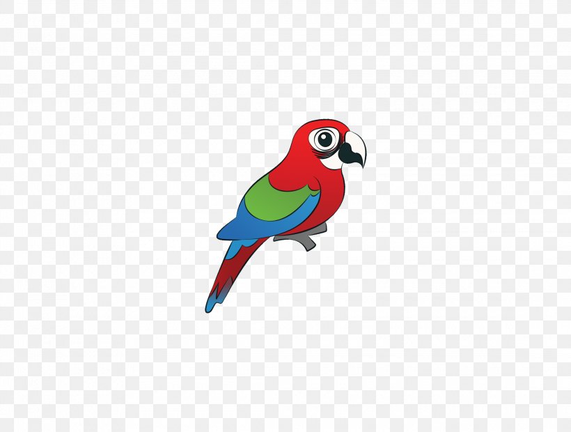 Macaw Bird Parrots Amazon Parrot, PNG, 2240x1694px, Macaw, Amazon Parrot, Beak, Bird, Color Download Free