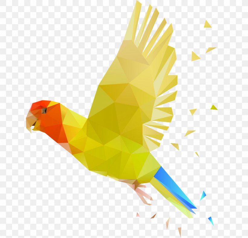 Parrot Bird, PNG, 1024x983px, Parrot, Beak, Bird, Feather, Geometry Download Free