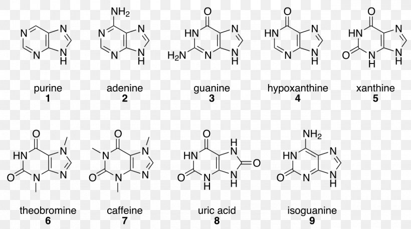 Purine プリン塩基 Hypoxanthine Nucleic Acid Base, PNG, 1280x716px, Watercolor, Cartoon, Flower, Frame, Heart Download Free