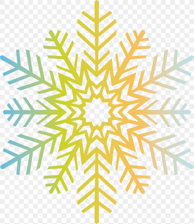 Snowflake Free Color Clip Art, PNG, 3641x4198px, Snowflake, Branch, Color, Free, Leaf Download Free