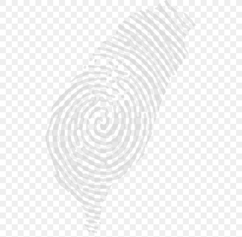 Spiral White Circle Pattern, PNG, 512x803px, Spiral, Area, Black, Black And White, Facebook Download Free