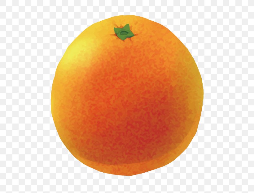 Clementine Grapefruit Mandarin Orange Tangerine Tangelo, PNG, 625x625px, Clementine, Acid, Citric Acid, Citrus, Food Download Free