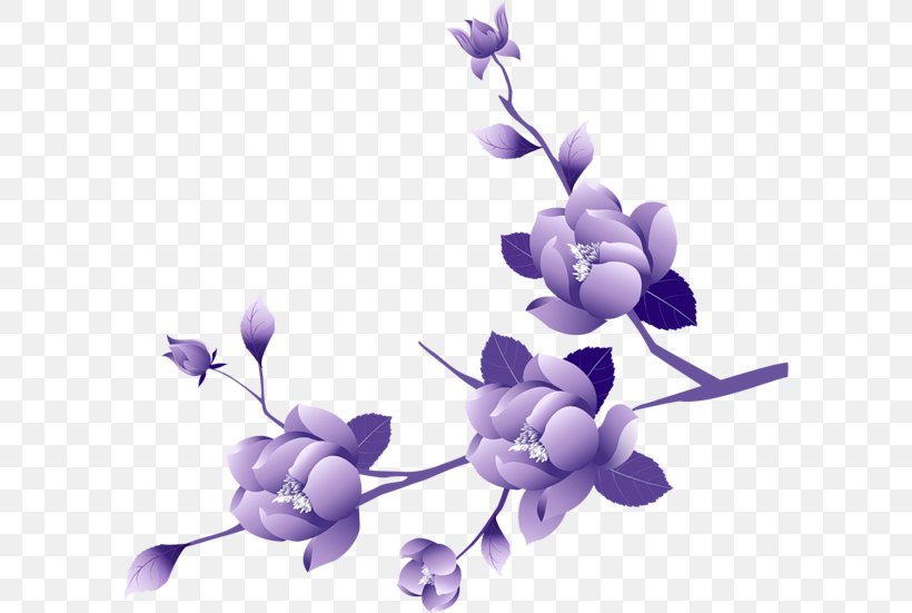 Lavender, PNG, 600x551px, Violet, Branch, Flower, Lavender, Lilac Download Free