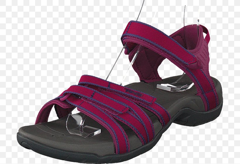 Shoe Shop Teva Sandal Sneakers, PNG, 705x561px, Shoe, Brandos, Canvas, Chuck Taylor, Chuck Taylor Allstars Download Free