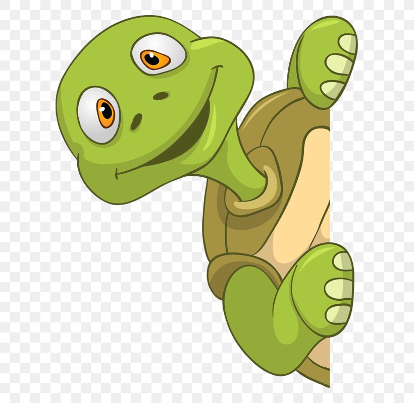 Turtle Royalty-free, PNG, 800x800px, Turtle, Amphibian, Cartoon, Depositphotos, Drawing Download Free