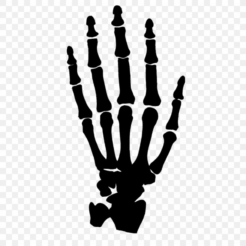 Human Skeleton Hand Clip Art, PNG, 894x894px, Human Skeleton, Anatomy, Arm, Black And White, Bone Download Free