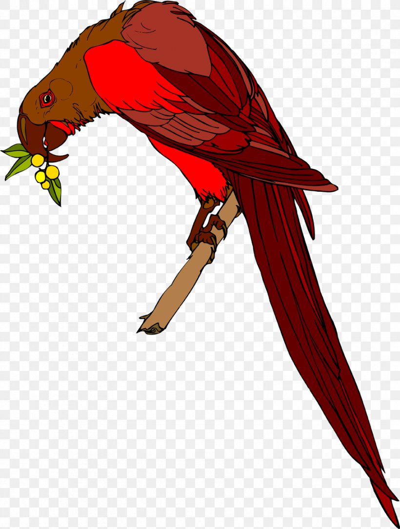 Macaw Beak Feather Wing Loriini, PNG, 907x1200px, Macaw, Beak, Bird, Character, Fauna Download Free