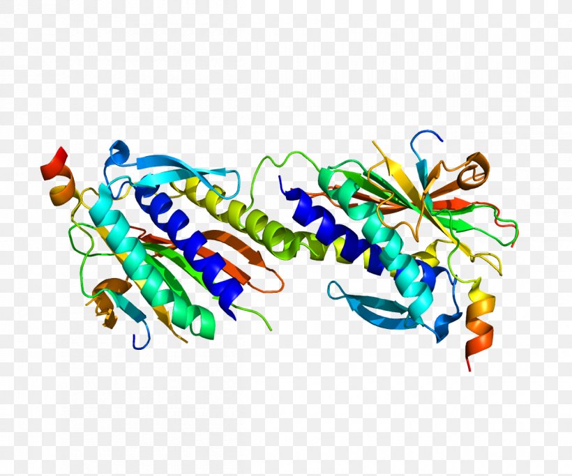 MAD2L2 REV3L Protein Gene DNA, PNG, 1200x1000px, Protein, Anaphase, Area, Art, Body Jewelry Download Free